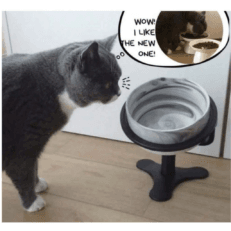 Adjustable Incline Pet Feeding Bowls - 0-20° Tilt for Dogs & Cats, Neck Protection