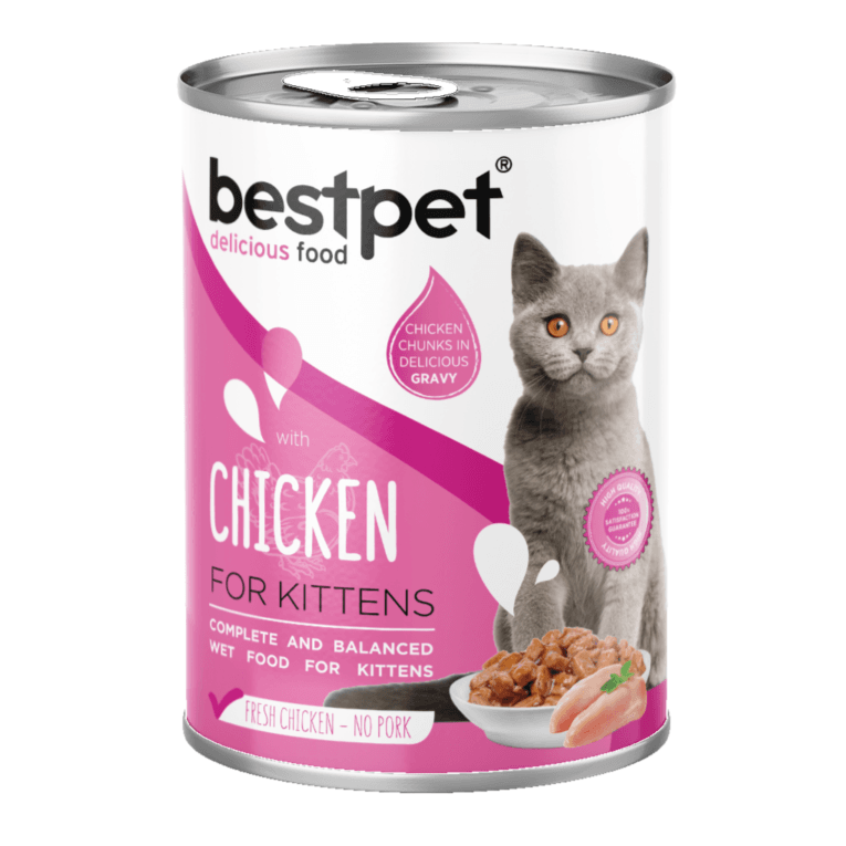 BestPet Cat Kitten with Chicken in Gravy 400g