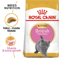British Shorthair Kitten 2 KG ROYAL CANIN