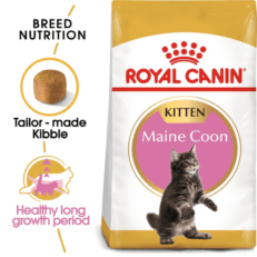 Maine Coon Kitten  Dry Food 2 KG ROYAL CANIN