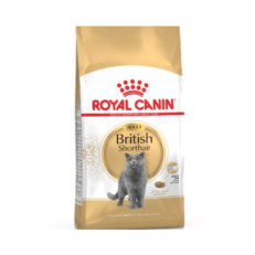 Royal Canin British Shorthair Adult Cat Dry Food 4Kg