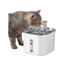 Water Fountain for Pets