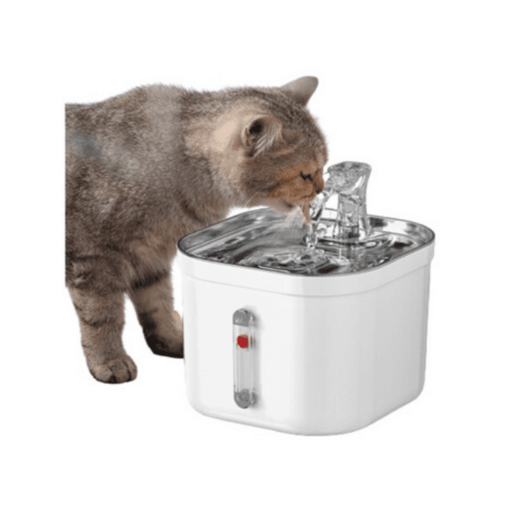 Water Fountain for Pets