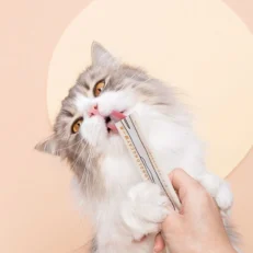 Cat Treats