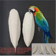 2pcs Natural Cuttlebone for Birds – Beak Grinding & Chewing Toy for Parrots and Large Birds