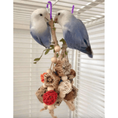 Bird Chewing Stick Toy – Colorful Cage Enrichment (1pc)