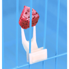 Bird Fruit Feeding Forks – Small Plastic Picks (1pc)