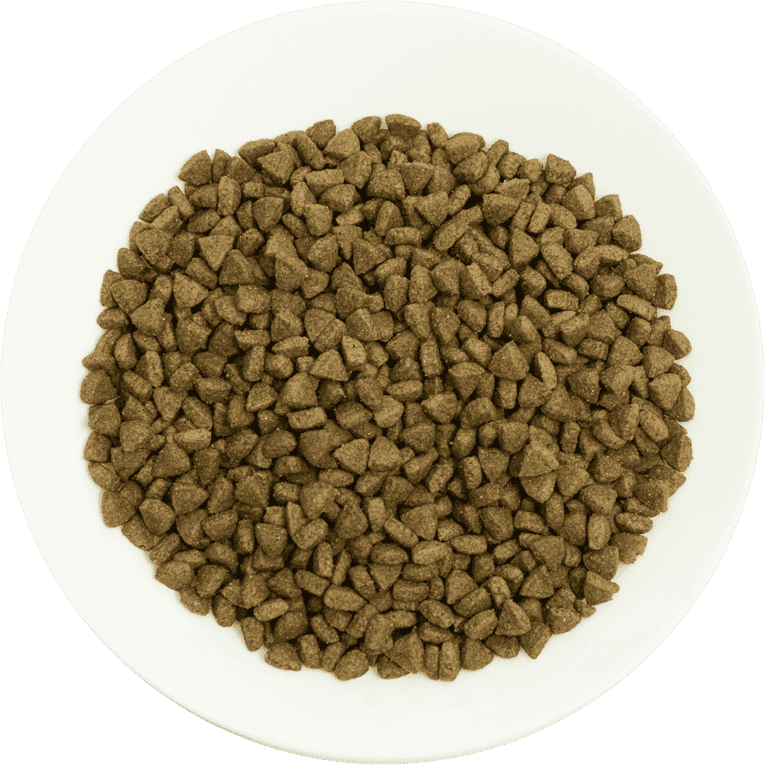 130PROCHOICE-PRO-34-SALMON-RICE-2kg-3