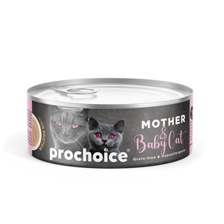 296prochoice-mother-baby-cat