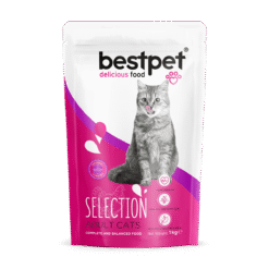BestPet Cat Selection Chicken Adult Dry Food 1kg