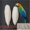 2pcs Natural Cuttlebone for Birds – Beak Grinding & Chewing Toy for Parrots and Large Birds