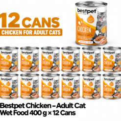 BestPet Cat Wet Food with Chicken in Gravy - 400g x 12 Cans
