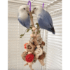 Bird Chewing Stick Toy – Colorful Cage Enrichment (1pc)