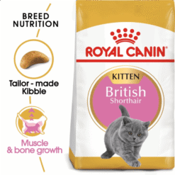 British Shorthair Kitten 2 KG ROYAL CANIN