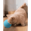 Cat Scratching Ball Toy – Interactive & Stress Relief - Blue