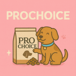 prochoice