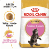 Maine Coon Kitten Dry Food 2 KG ROYAL CANIN