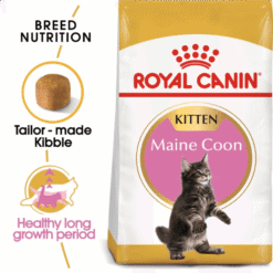 Maine Coon Kitten Dry Food 2 KG ROYAL CANIN