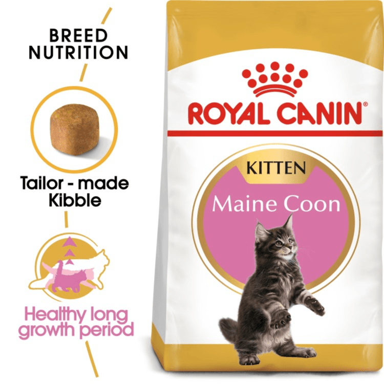 Maine Coon Kitten Dry Food 2 KG ROYAL CANIN