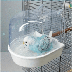 Multi-purpose Bird Bath Box – For Parrots, Budgies & Small Pets (Random Color)