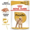 Poodle Adult Wet Dog Food Pouch - 85g ROYAL CANIN