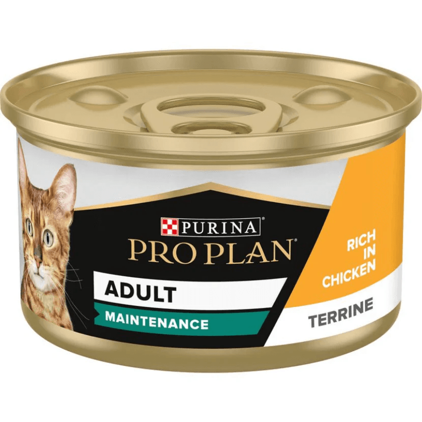Pro Plan Maintenance Adult Wet Cat Food, Terrine With Chicken 85g