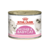 Royal Canin Mother & Babycat Mousse Cat Wet Food Can 195g