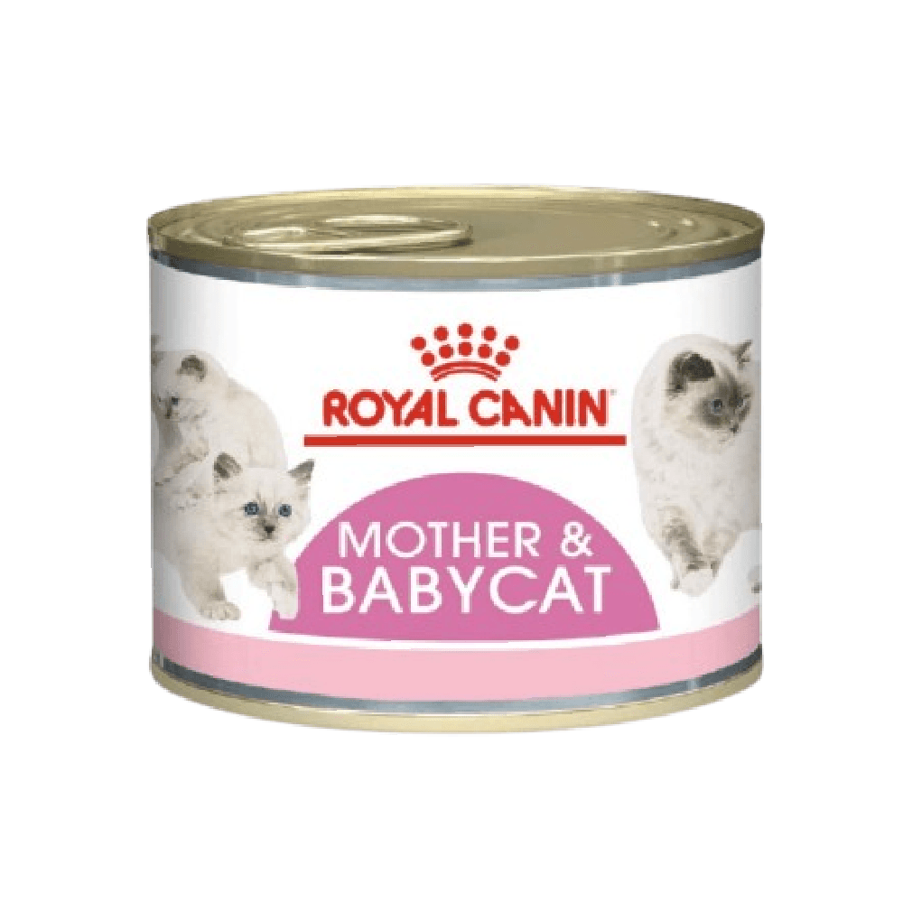 Royal Canin Mother & Babycat Mousse Cat Wet Food Can 195g