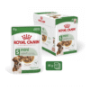 Royal Canin Size Health Nutrition Mini Adult Wet Food - Pouches 12 x 85g