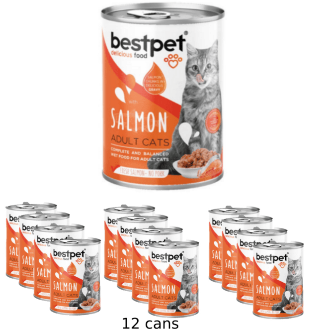 Bestpet Cat With Salmon In Gravy Wet Cat Food 400g x12