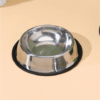 Stainless Steel Non-Slip Pet Food Bowl - Large size
