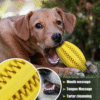 Tough Rubber Dog Chew Ball – Interactive Teeth Cleaning Toy & Treat Dispenser