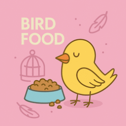 Bird Food