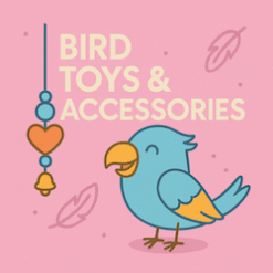 Bird Toys & Accessories