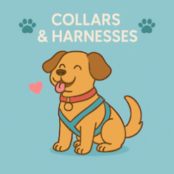 Collars & Harnesses