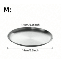 Petsin Stainless Steel Cat Bowl – 6.7 Inch Silver Shallow Dish For Dry & Wet Food