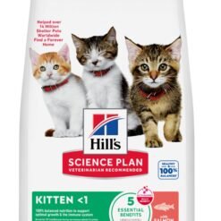 Hill’s Science Plan Kitten Dry Cat Food with Salmon 1.5 kg