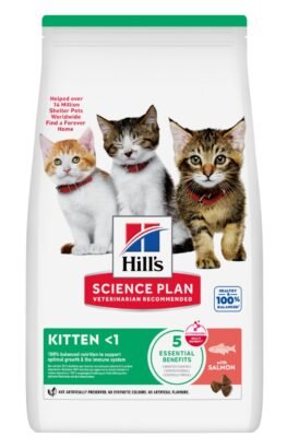 Hill’s Science Plan Kitten Dry Cat Food with Salmon 1.5 kg