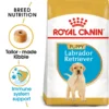 Royal Canin Labrador Retriever Puppy Dry Dog Food 3 kg