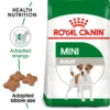 Royal Canin Mini Adult Dry Dog Food 800 g
