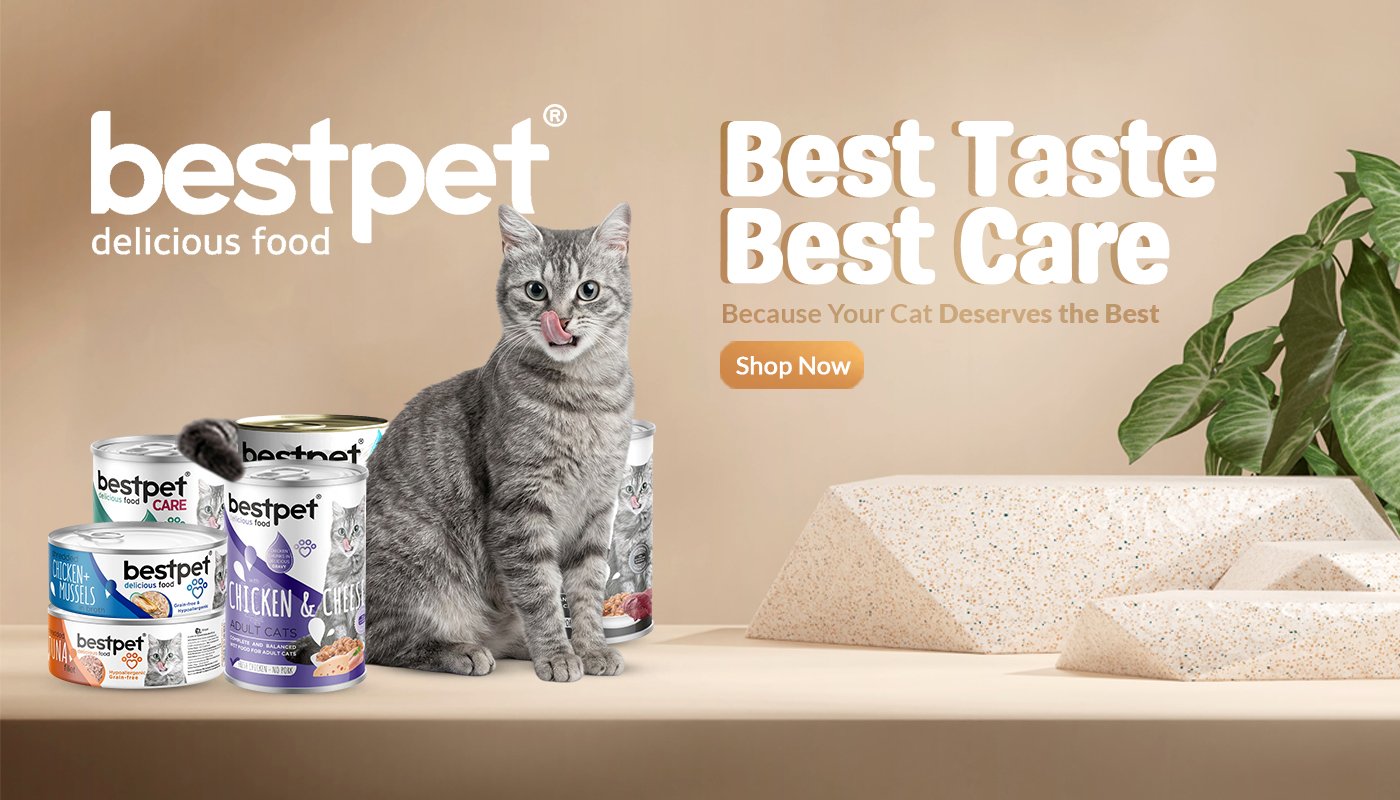 Best Pet Shop In Qatar