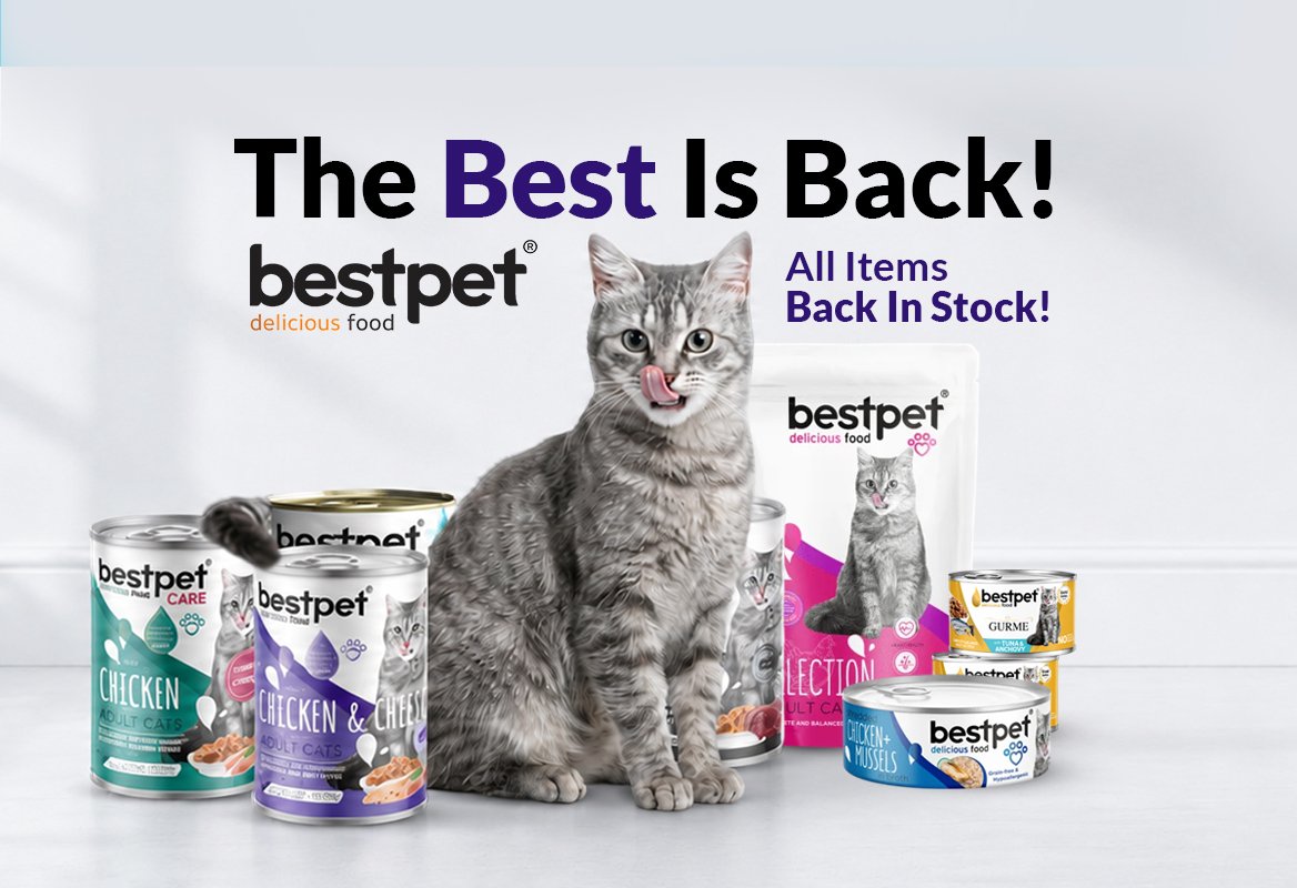 Bestpet