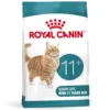 Royal Canin Ageing 11+ Dry Cat Food 2 kg