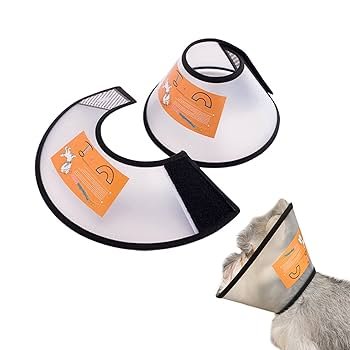 Elizabeth Protection Collar for Cats – Size 3