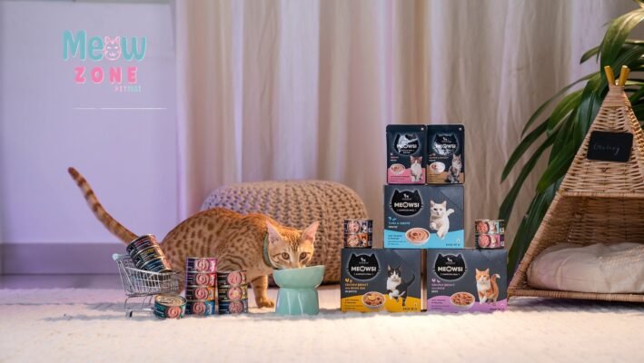 Best Kitten Food