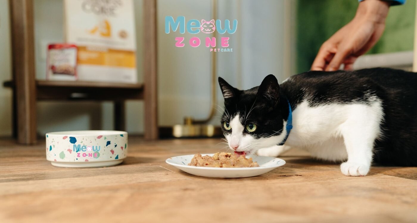 Wet Cat Food