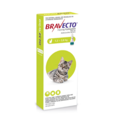 Bravecto Spot-On Solution for Cats (0.4ml, 1.2–2.8kg) – Flea & Tick Treatment