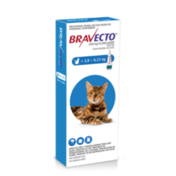 Bravecto Spot-On Solution for Cats (0.89ml, >2.8–6.25kg) – Flea & Tick Protection