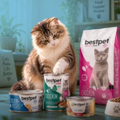 Bestpet