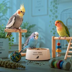 Birds